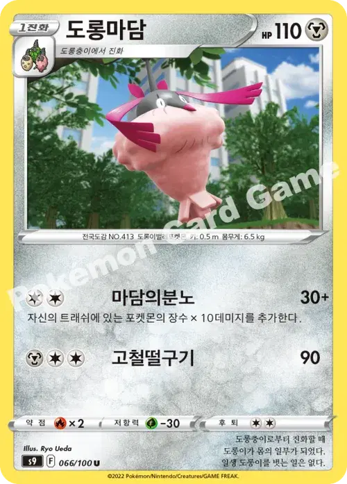도롱마담