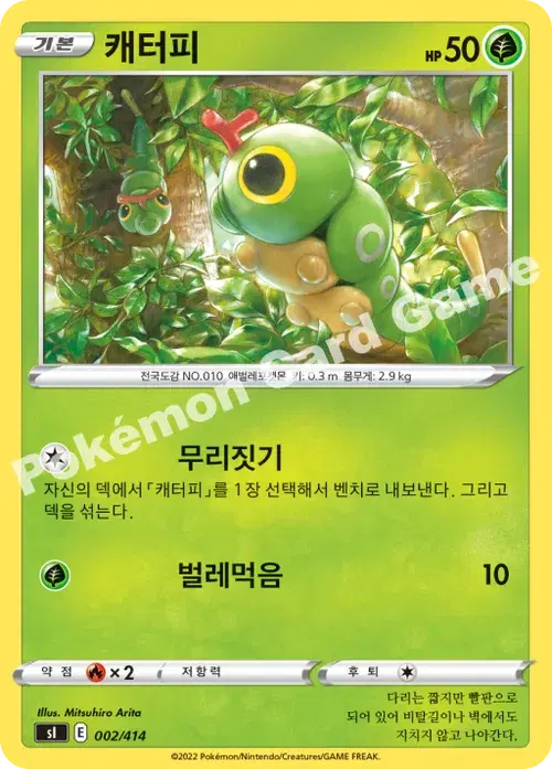 캐터피