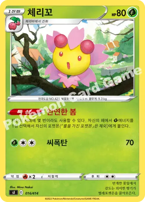 체리꼬