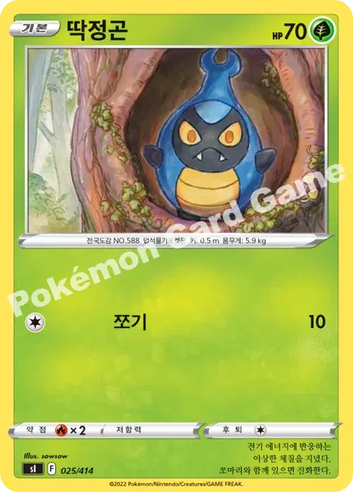 딱정곤