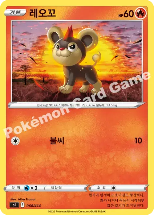 레오꼬