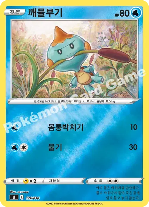 깨물부기