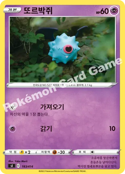 또르박쥐