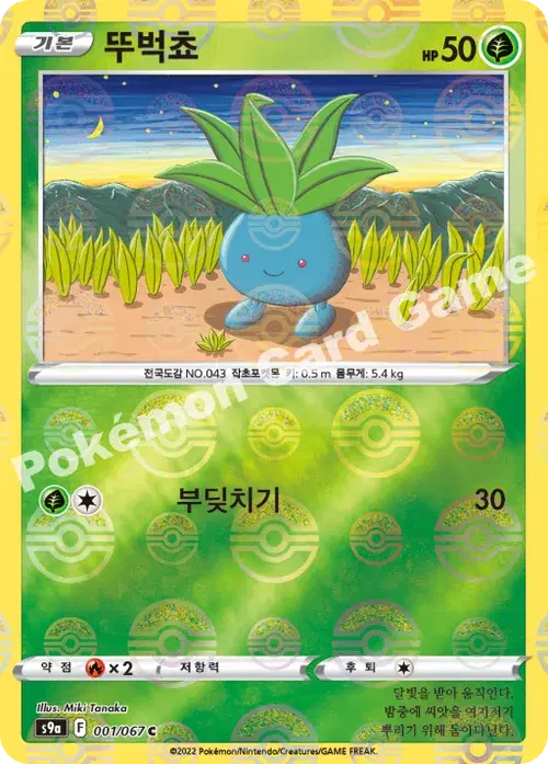 뚜벅쵸