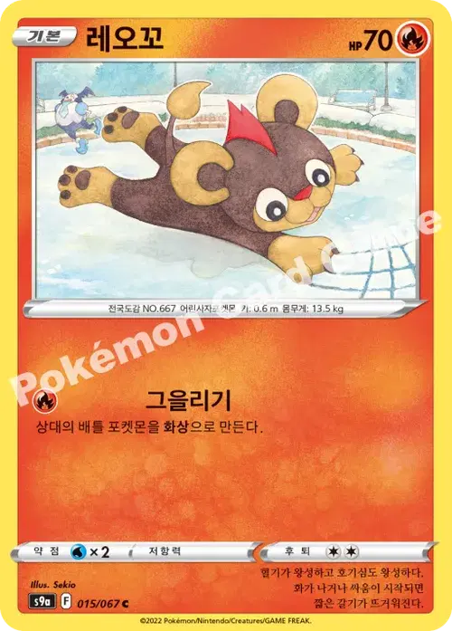 레오꼬
