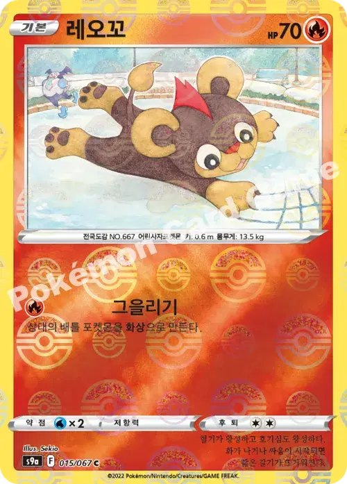 레오꼬