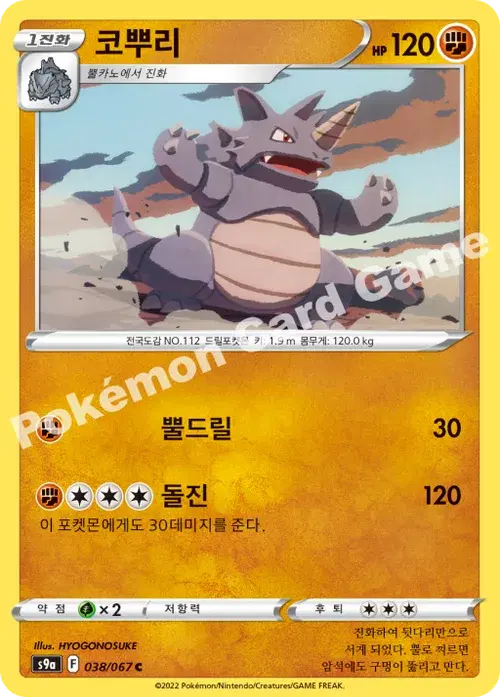 코뿌리