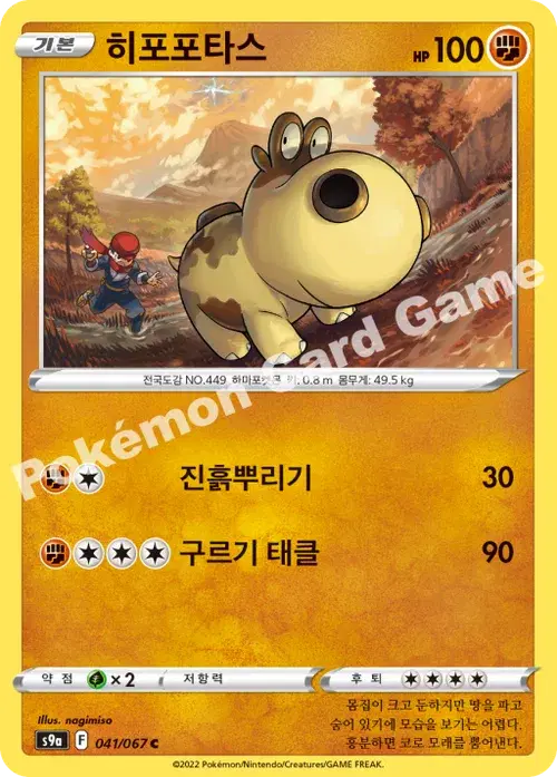 히포포타스