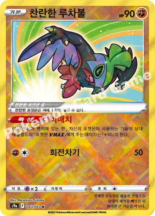 찬란한 루차불
