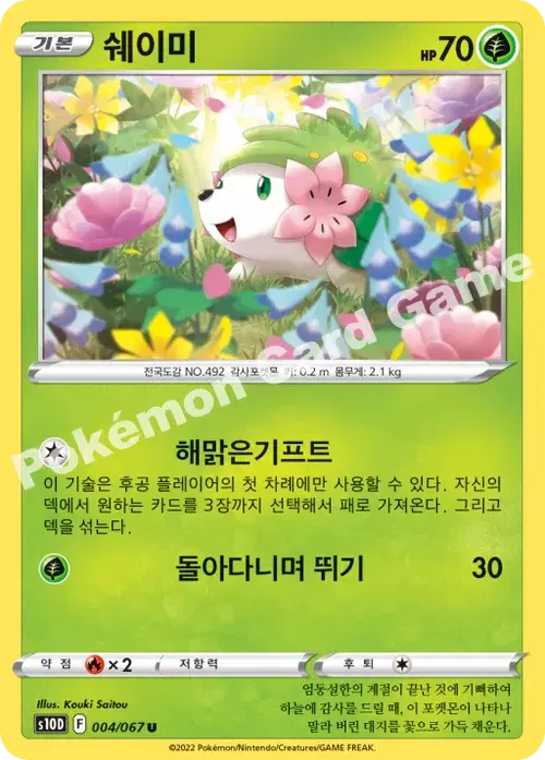 쉐이미