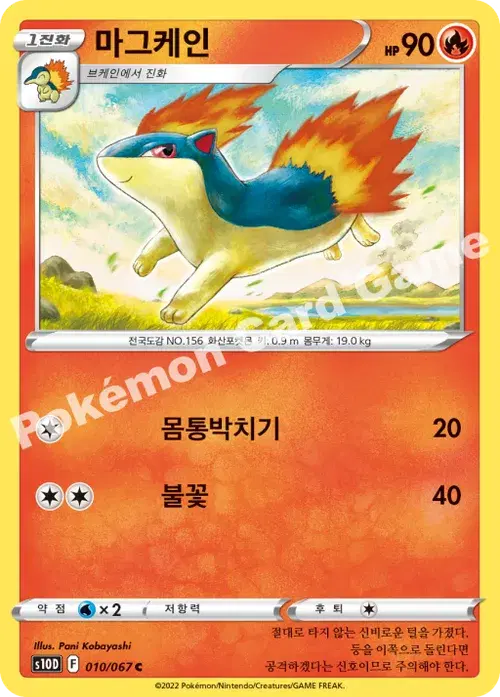 마그케인