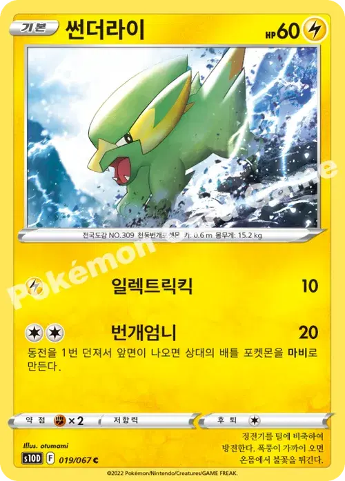 썬더라이