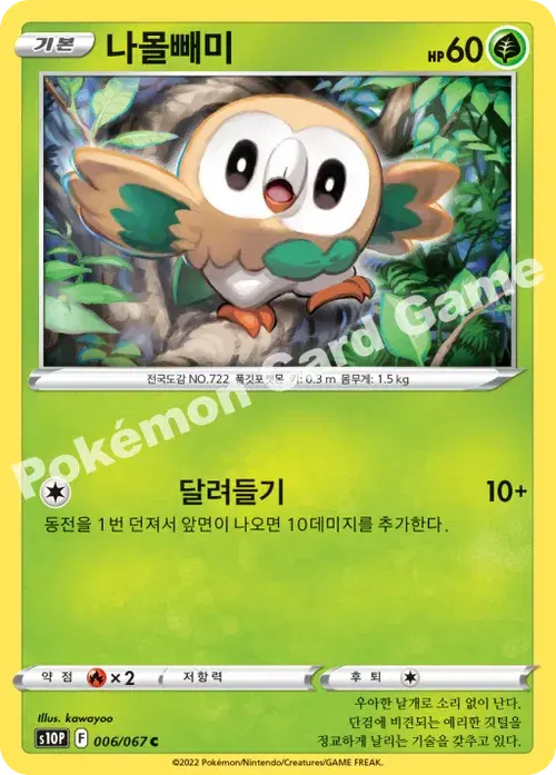 나몰빼미