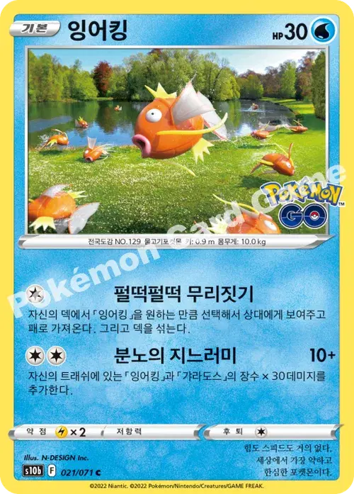 잉어킹