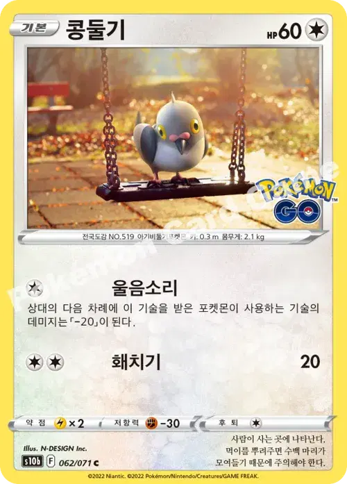 콩둘기