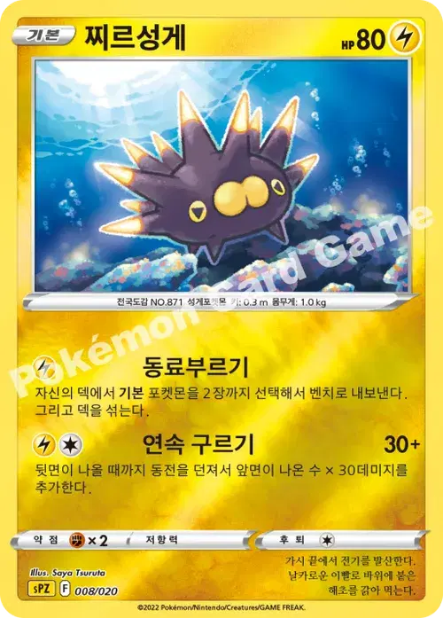 찌르성게
