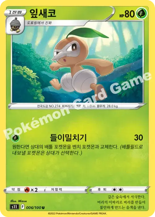 잎새코