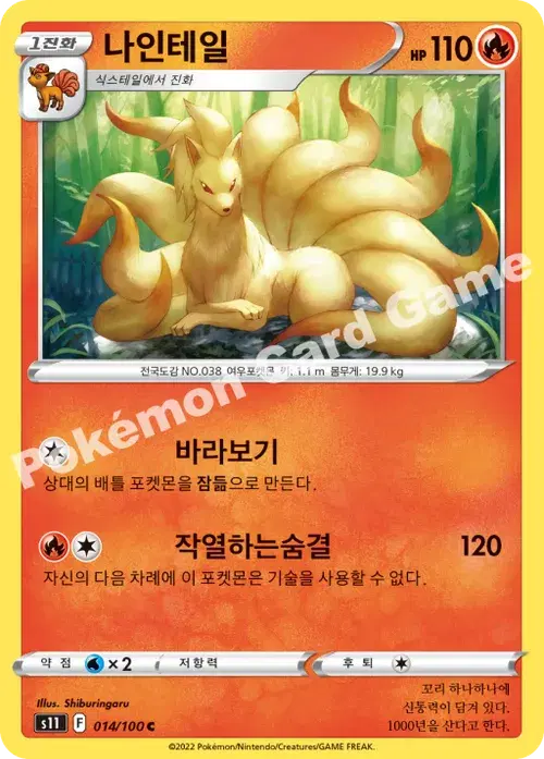 나인테일