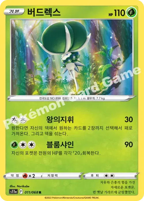 버드렉스