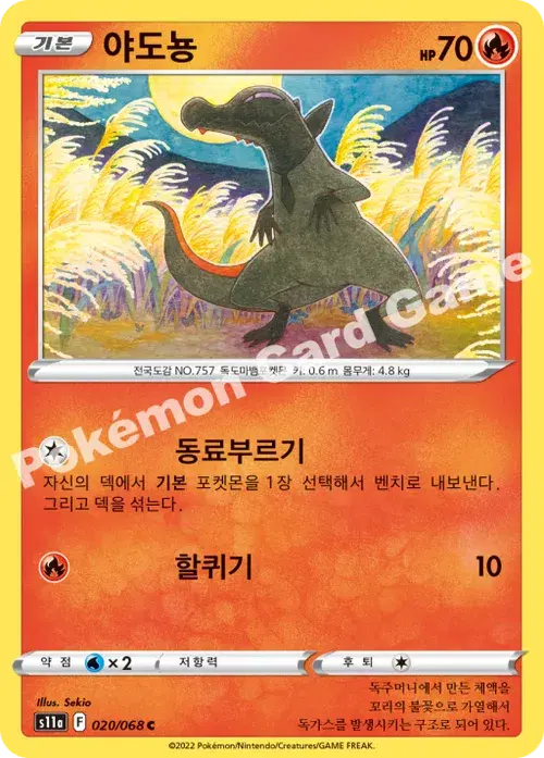 야도뇽