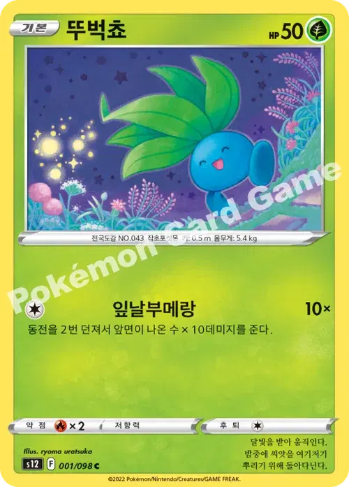 뚜벅쵸