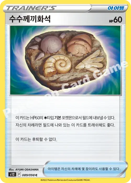 수수께끼화석