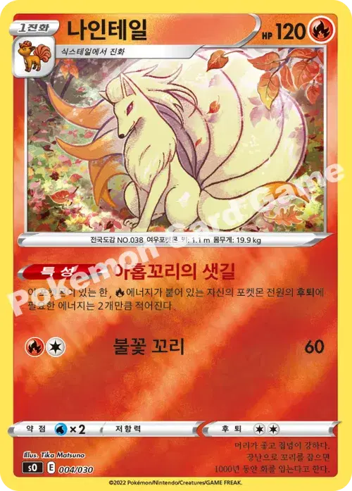 나인테일