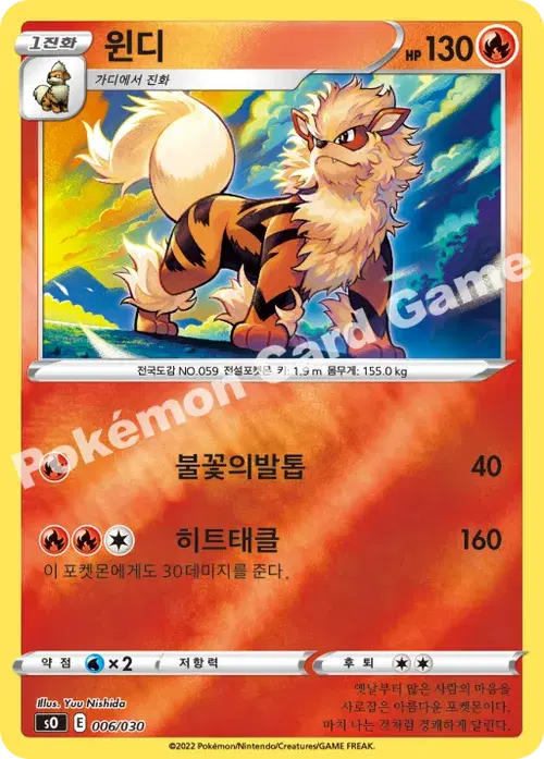 윈디