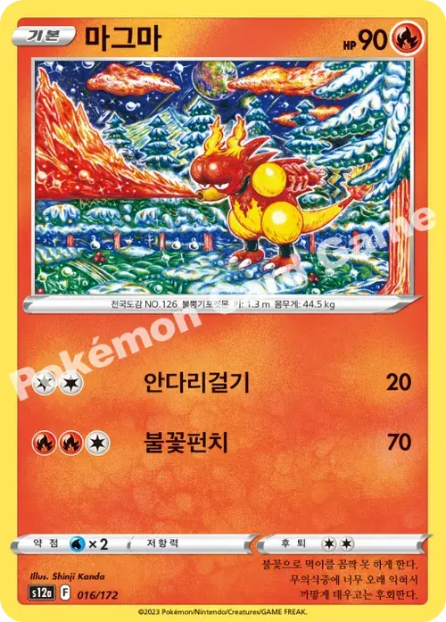 마그마