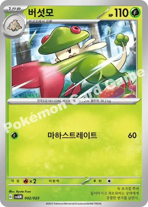 버섯모