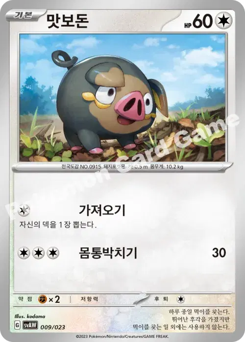 맛보돈