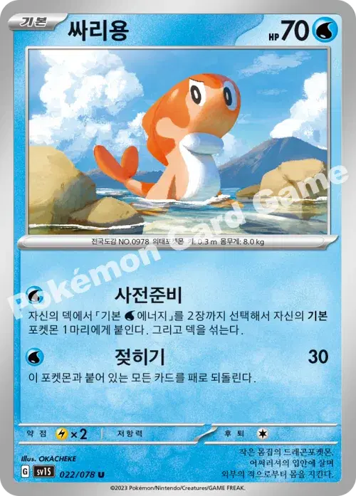 싸리용