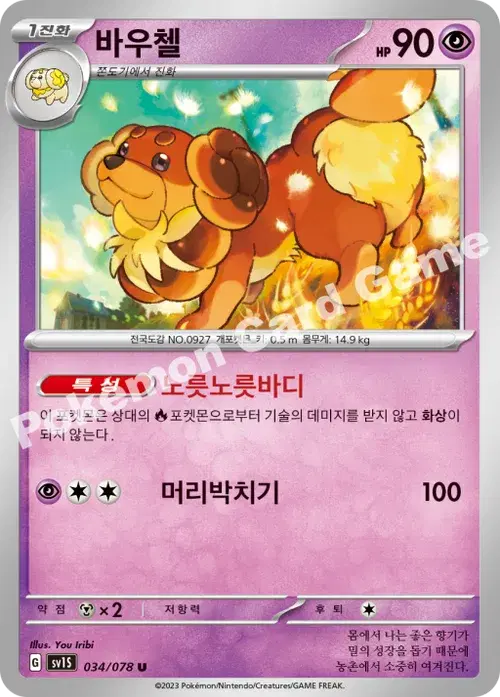바우첼