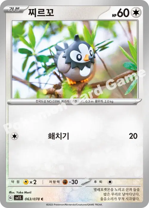 찌르꼬