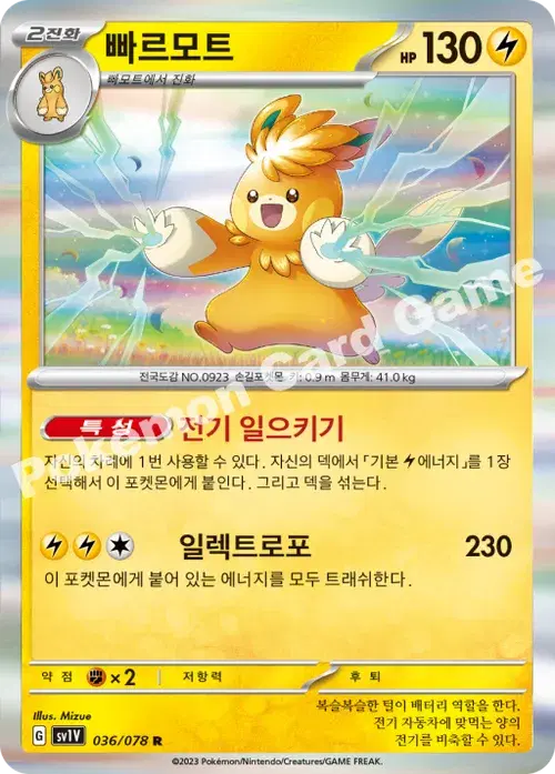 빠르모트