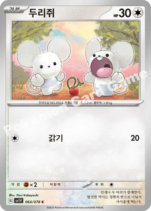 두리쥐