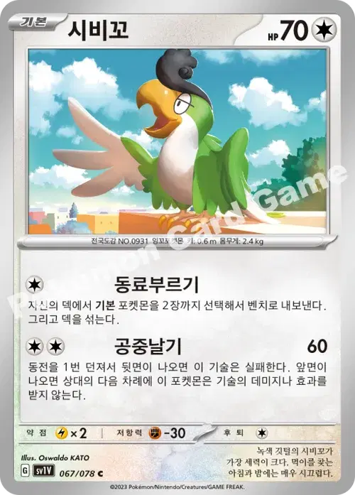 시비꼬