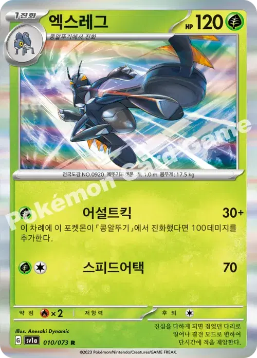 엑스레그