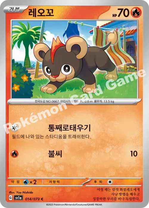 레오꼬
