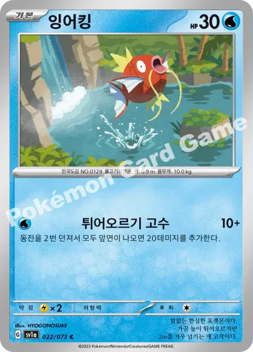 잉어킹