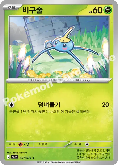 비구술