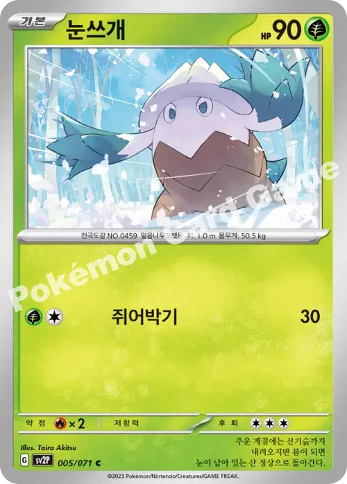 눈쓰개