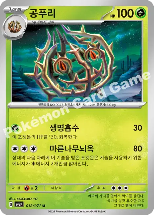 공푸리