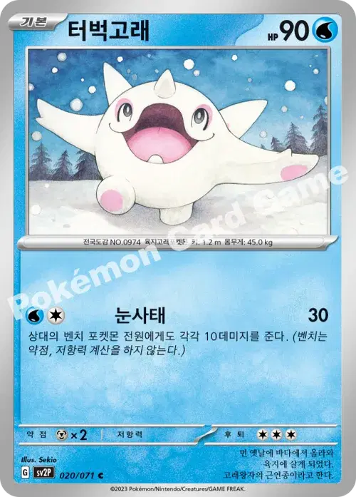 터벅고래