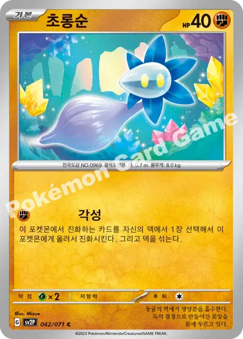 초롱순