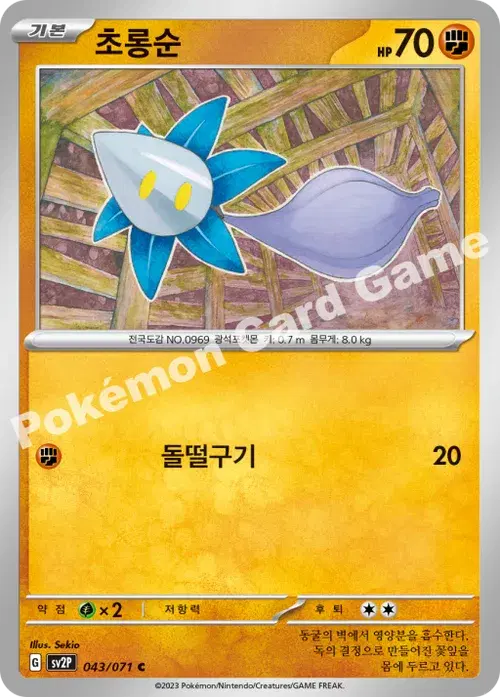 초롱순