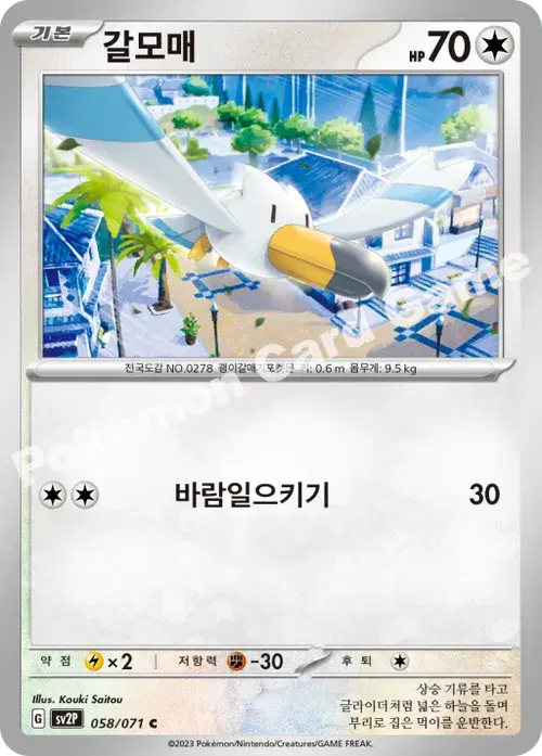 갈모매