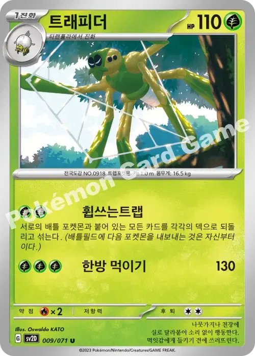 트래피더