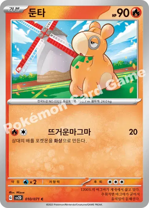 둔타