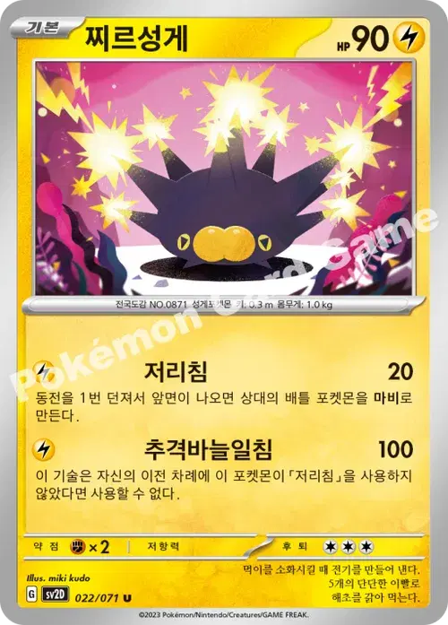 찌르성게
